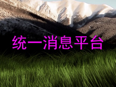 统一消息平台
