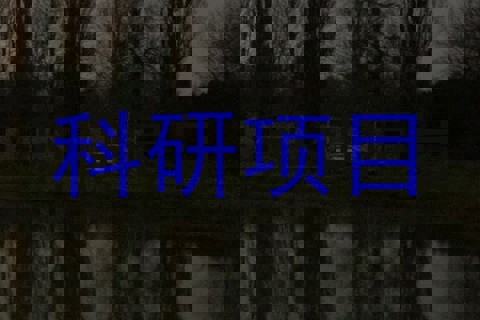 科研项目