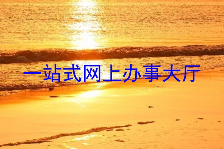 一站式网上办事大厅