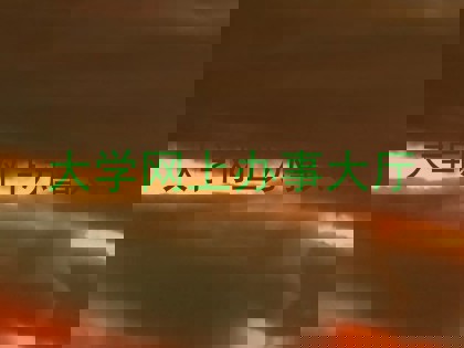 大学网上办事大厅