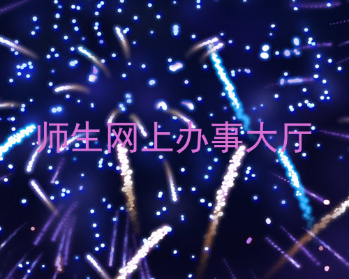 师生网上办事大厅