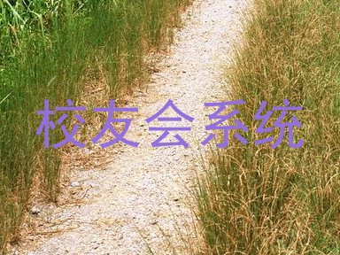 校友会系统