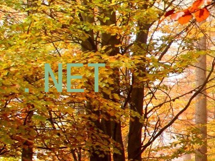 .NET
