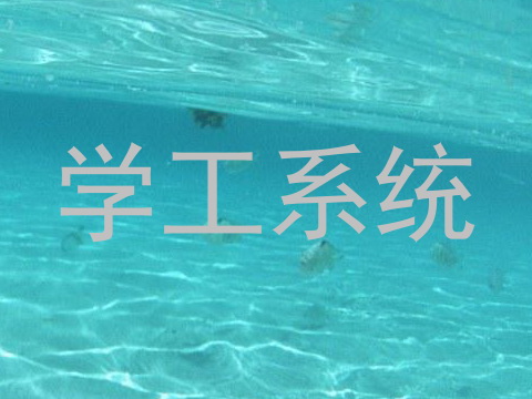 学工系统