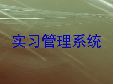 实习管理系统