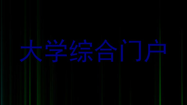 大学综合门户