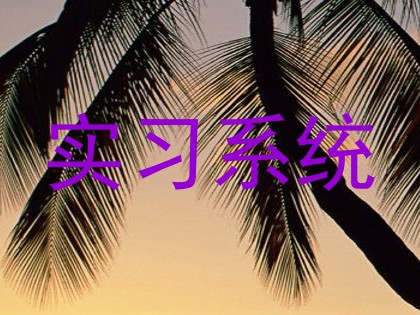 实习系统