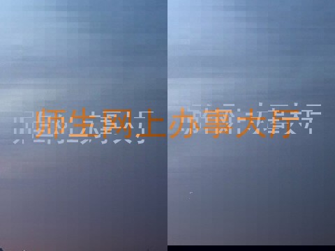 师生网上办事大厅