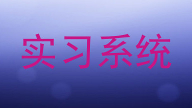 实习系统