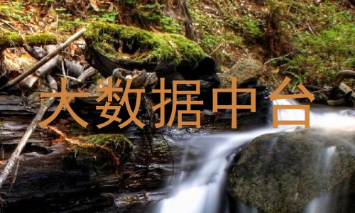 大数据中台