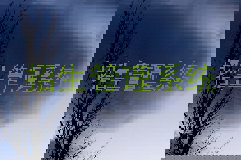 招生管理系统