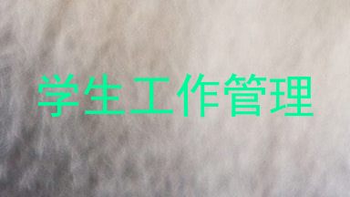 学生工作管理