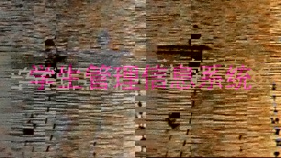 学生管理信息系统