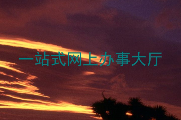 一站式网上办事大厅