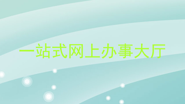 一站式网上办事大厅