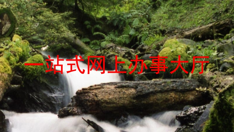 一站式网上办事大厅