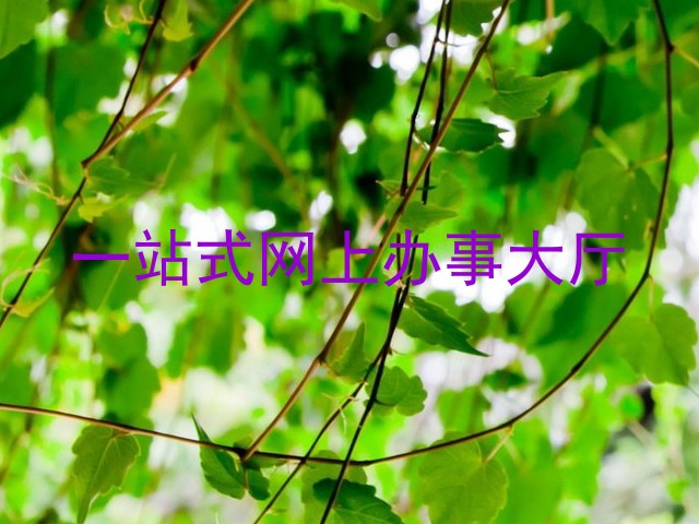 一站式网上办事大厅