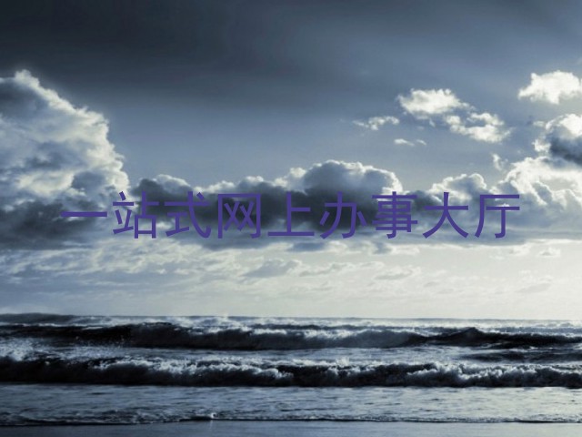 一站式网上办事大厅