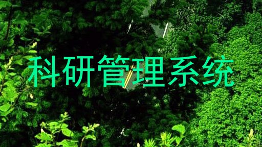 科研管理系统