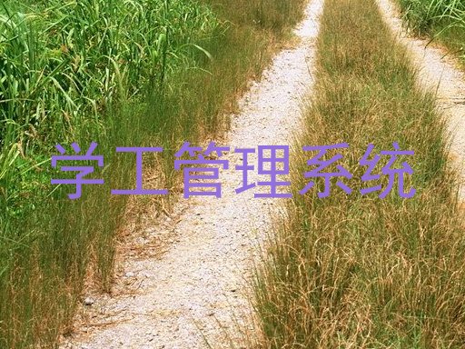 学工管理系统