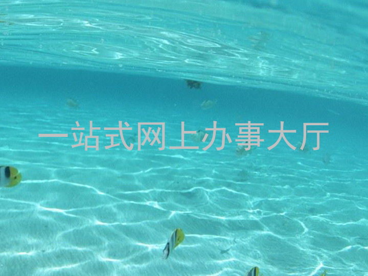 一站式网上办事大厅