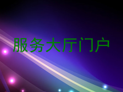 服务大厅门户
