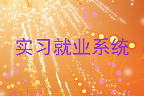 实习就业系统