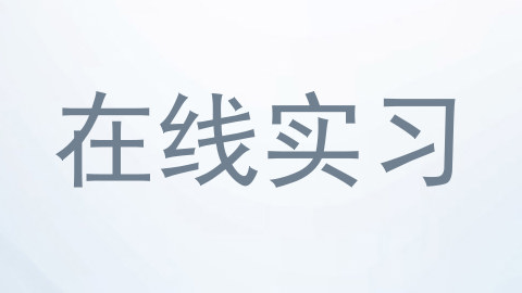 在线实习