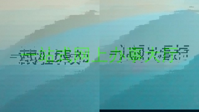 一站式网上办事大厅