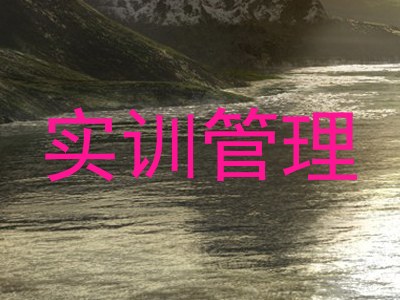 实训管理