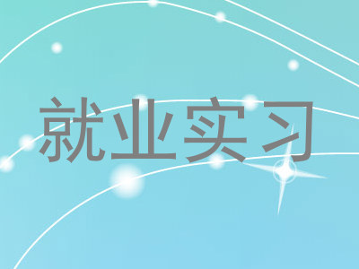 就业实习