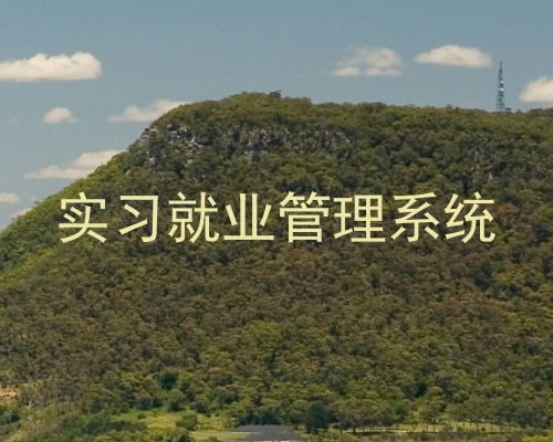 实习就业管理系统