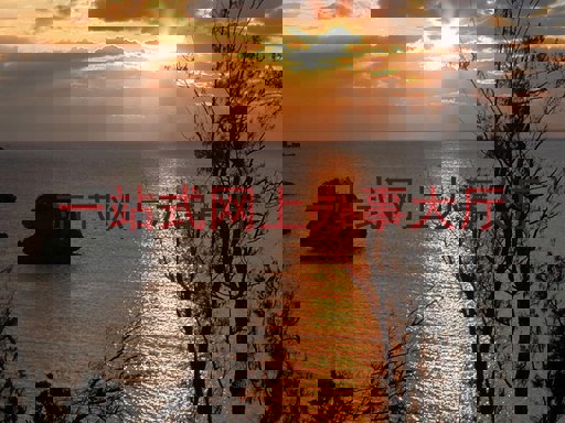 一站式网上办事大厅