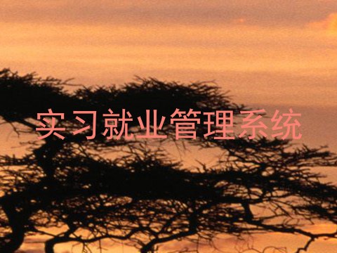 实习就业管理系统
