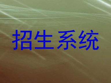 招生系统