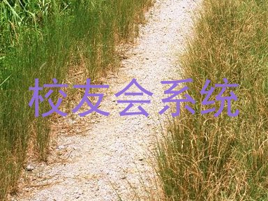 校友会系统
