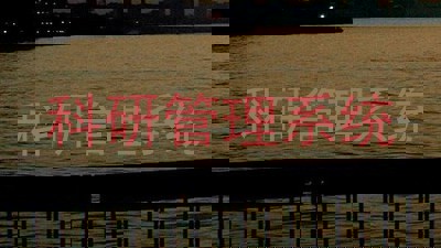 科研管理系统