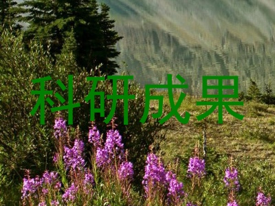 科研成果