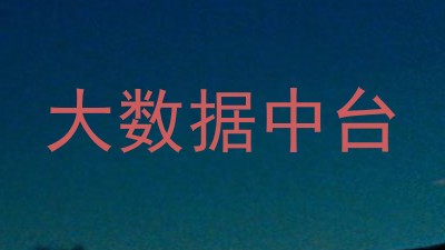 大数据中台