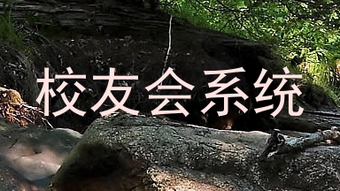 校友会系统