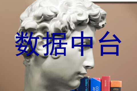数据中台