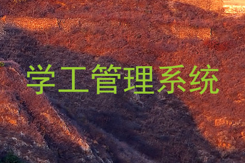 学工管理系统
