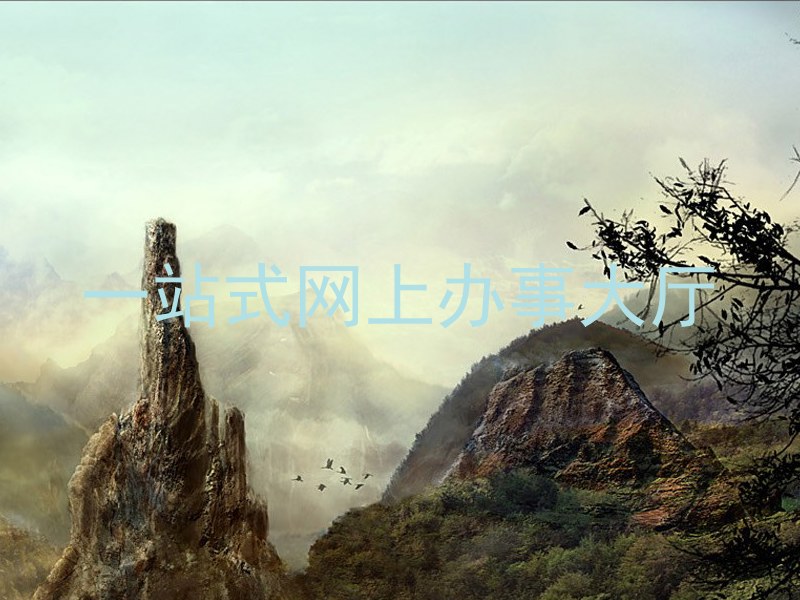 一站式网上办事大厅