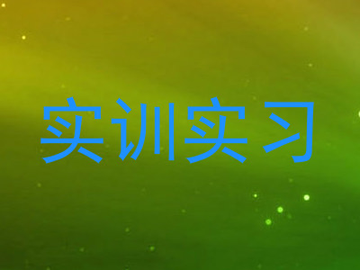 实训实习