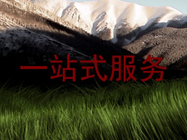 一站式服务