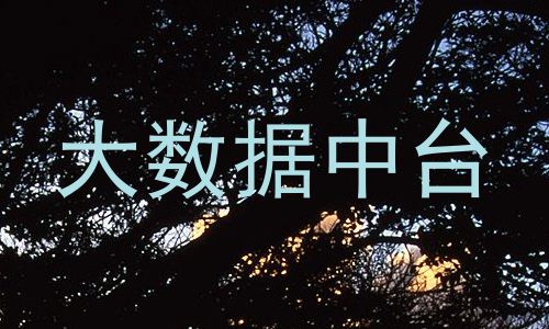 大数据中台