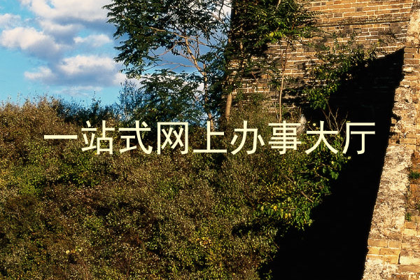 一站式网上办事大厅