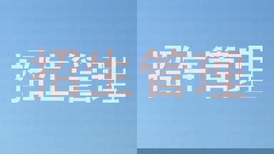 招生管理