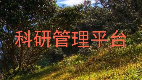 科研管理平台