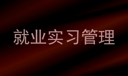 就业实习管理